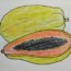 how to draw papaya fruit | Fruit drawing and coloring