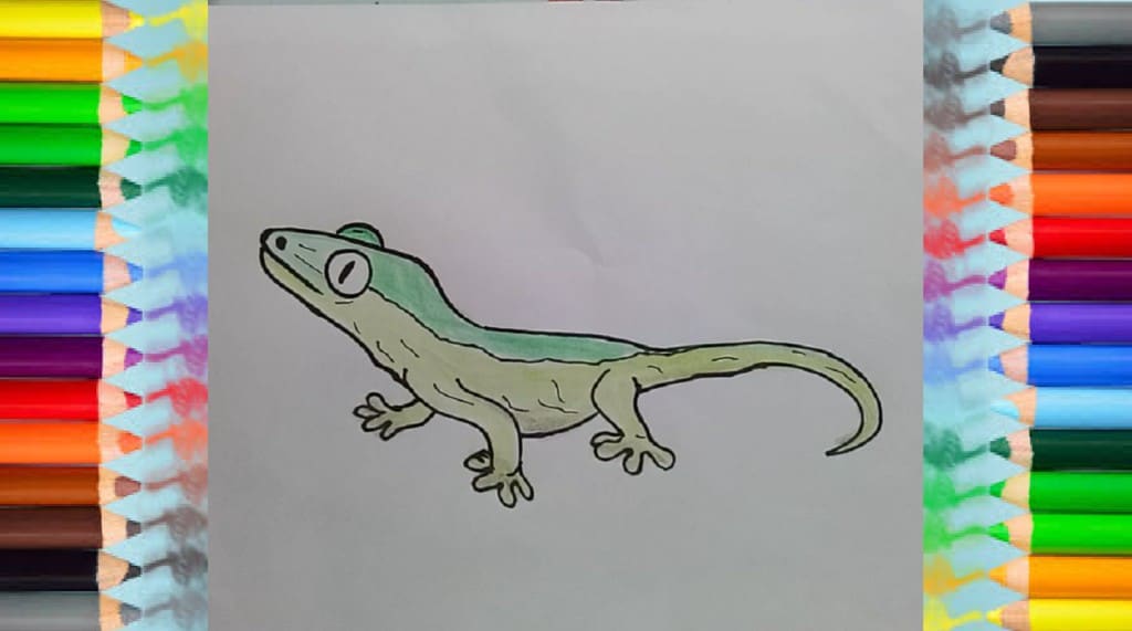 How to draw a Gecko (Leopard Kecko)