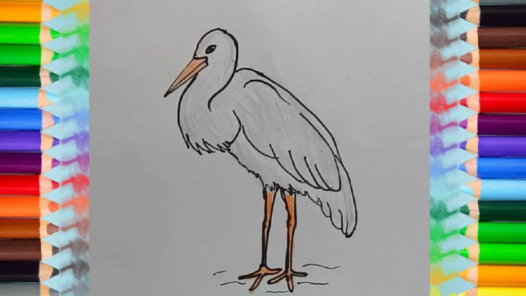 How to Draw a Stork