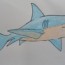 How to Draw a Shark easy step by step – Easy animals to draw
