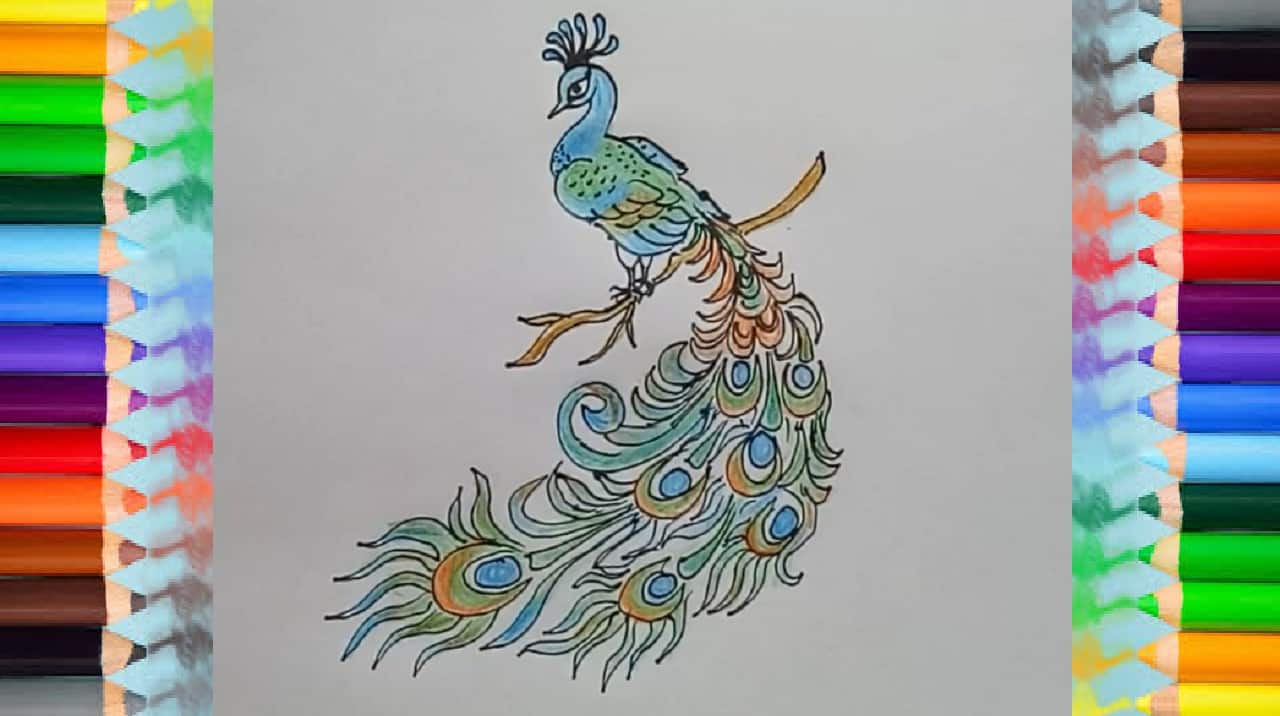 How To Draw A Peacock - Three Different Ways: Draw Doodle Style  Step-by-Step eBook : Tennille, Jen: Amazon.in: Kindle Store
