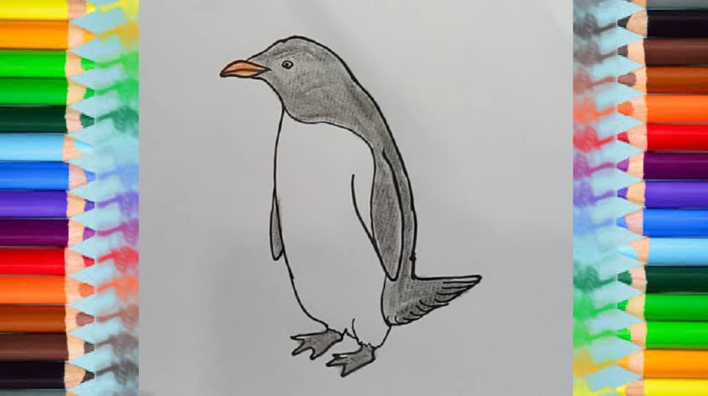 How To Draw A Penguin