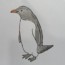 How To Draw A Penguin step by step | Easy bird drawing