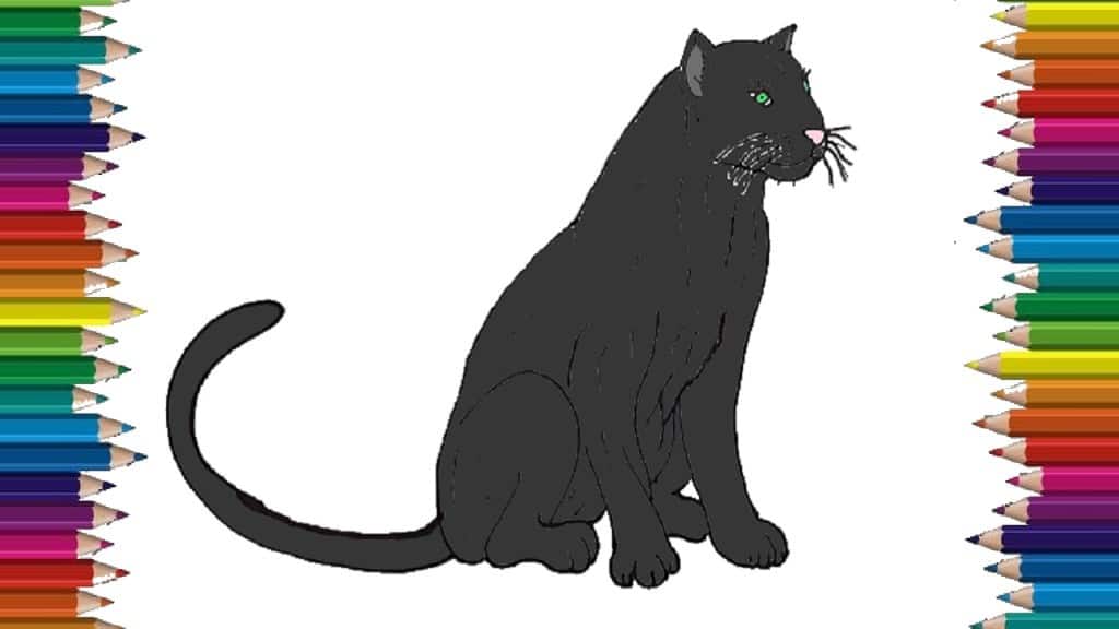 How to Draw a Black Panther step by step Easy animals to draw