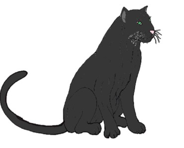 How to Draw a Black Panther step by step | Easy animals to draw