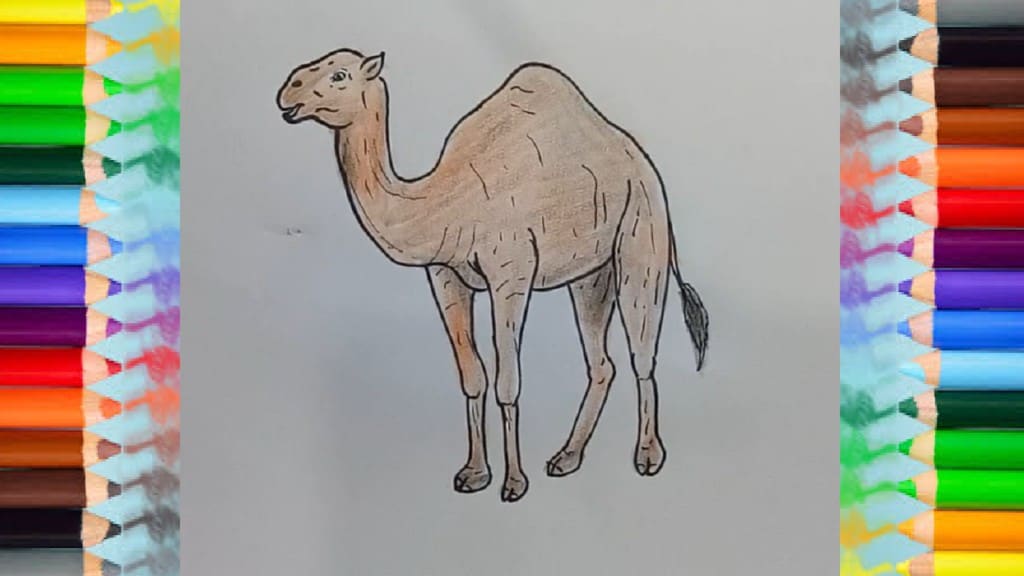 How to Draw a Camel Easy