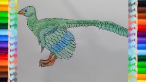 How to draw Archaeopteryx