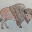 How to draw a buffalo (Bison) step by step | Easy animals to draw