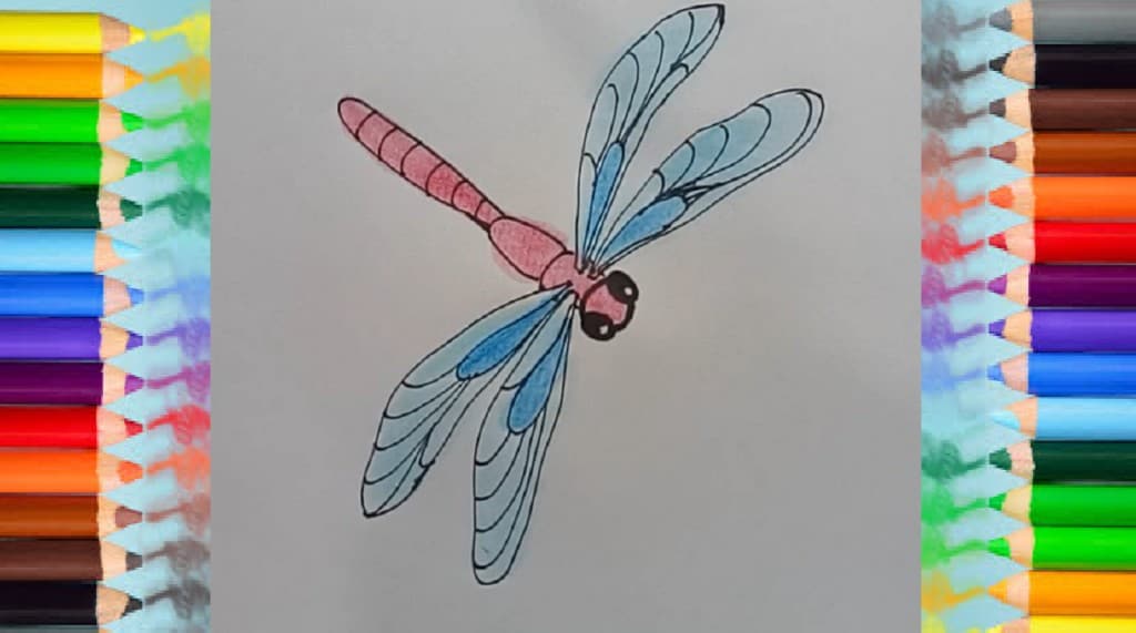 How to draw Dragonfly