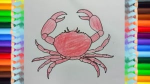 How to draw a Crab