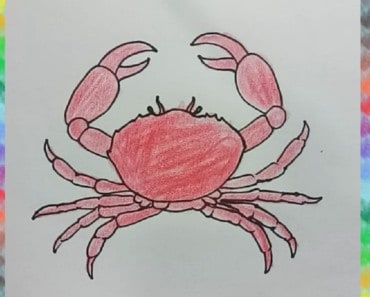 How to Draw a Crab step by step | Easy animals to draw