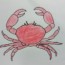 How to Draw a Crab step by step | Easy animals to draw