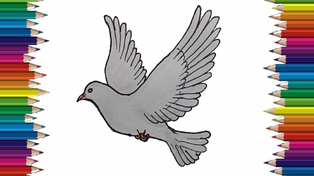 How to draw a Dove - Dove Drawing Tutorial