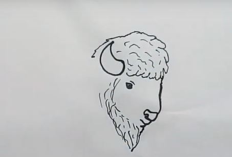 How To Draw A Buffalo Bison 2 Htdraw