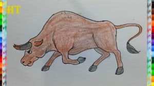 How to draw cartoon Bull - Bull drawing and coloring