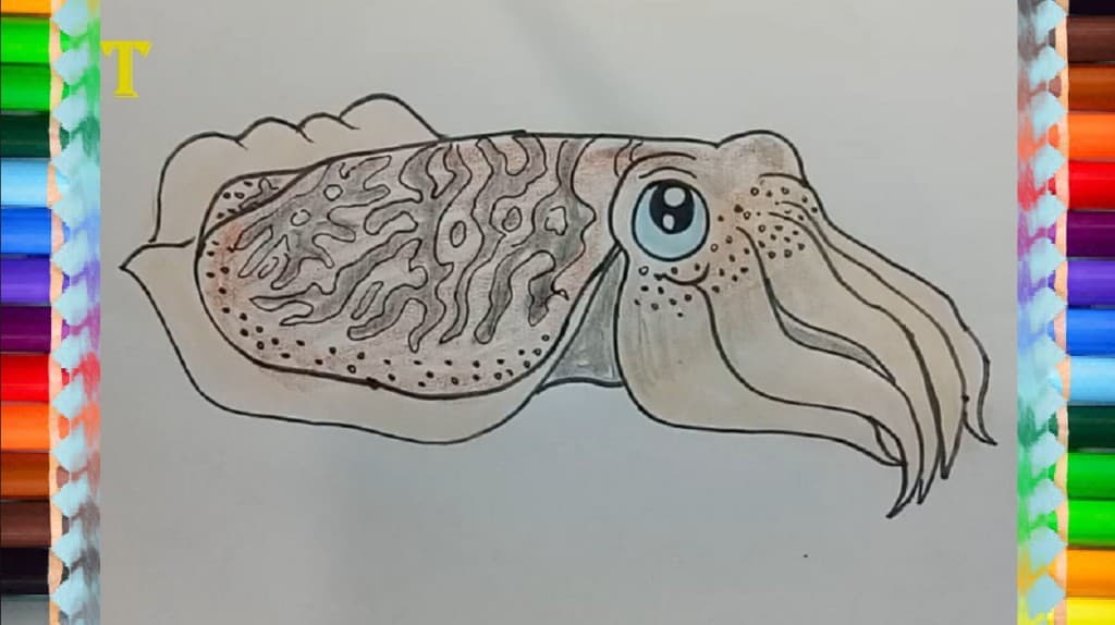 How to draw a Squid cute and easy