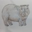 How to Draw a Hippopotamus – HTdraw