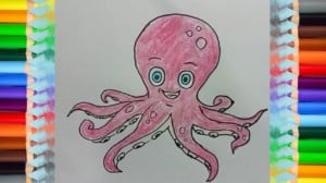 How to draw a cute Octopus