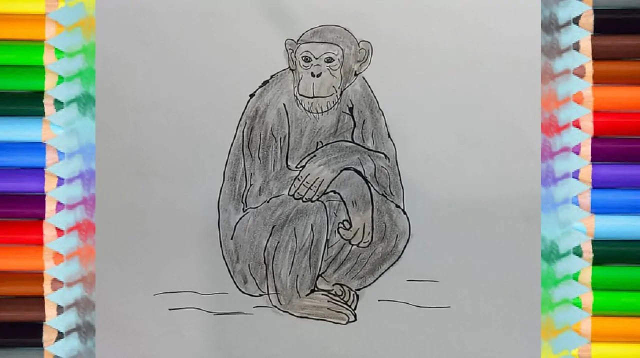 How to Draw a Chimpanzee