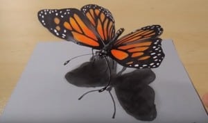 how to draw a butterfly 3D - 3D Drawing Butterfly