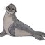 How To Draw A Seal with video and step-by-step drawing