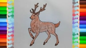 How to draw A Reindeer