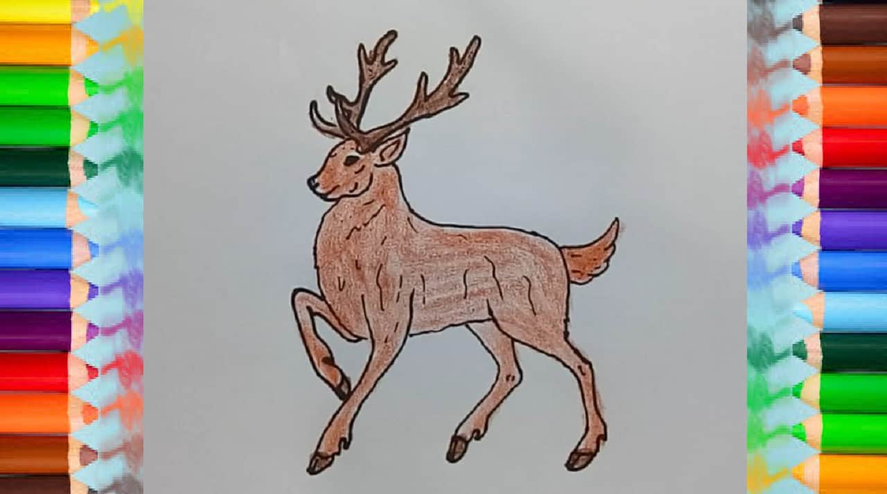 Creative How To Draw An Reindeer Sketch 