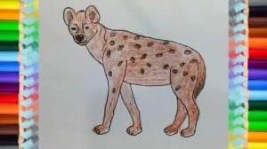 How to draw a Hyena step by step easy