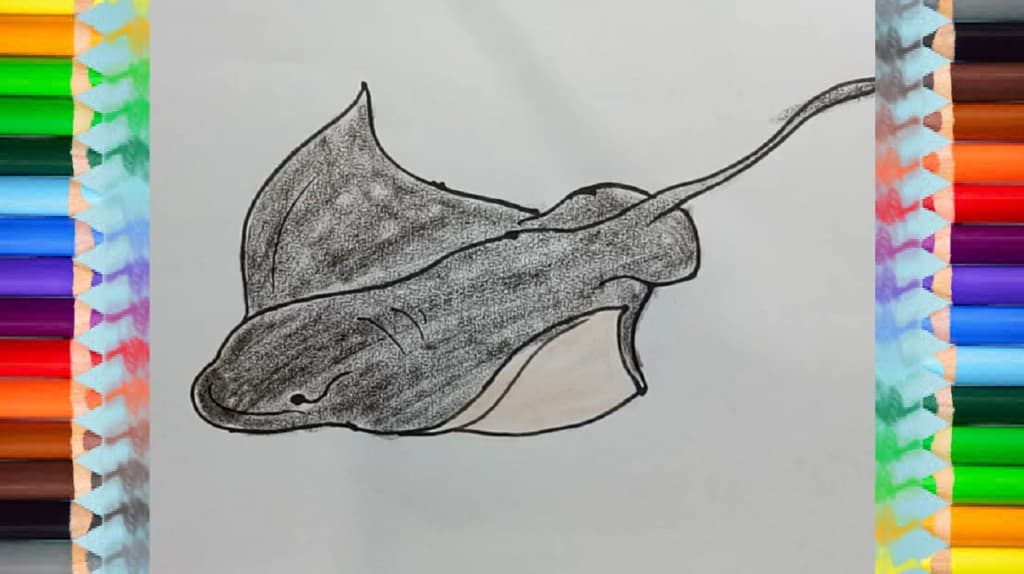 How to draw a Ray step by step easy