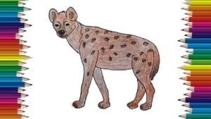 how to draw a hyena step by step easy - Easy animals to draw