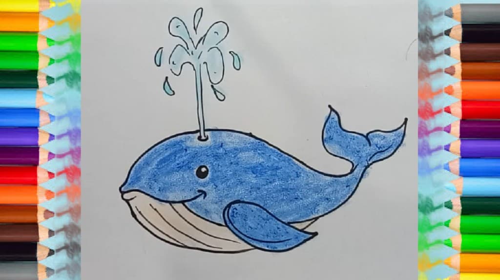 How To Draw A Whale Step By Step - How To Draw Step By Step