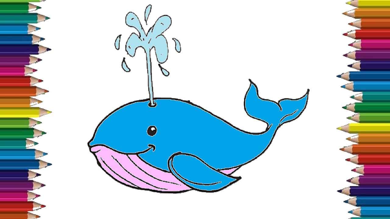 Whale Drawing For Kids