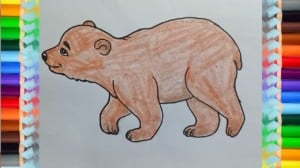 How to draw a bear cute and easy