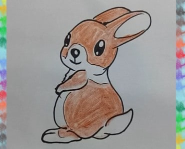 how to draw a rabbit cute and easy step by step for kids