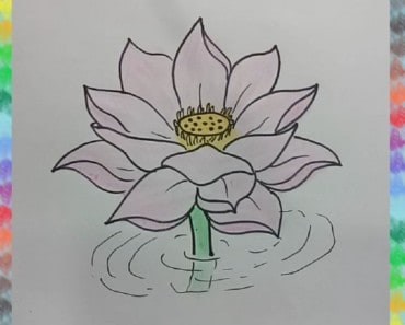 how to draw a lotus flower