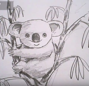 How To Draw A Koala easy step by step