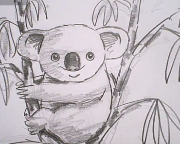 How To Draw A Koala easy step by step