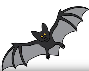 How To draw a Bat easy step by step – Easy animals to draw