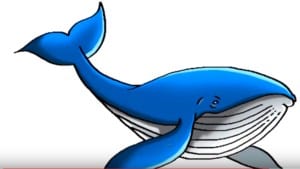 How to Draw a Blue Whale step by step easy