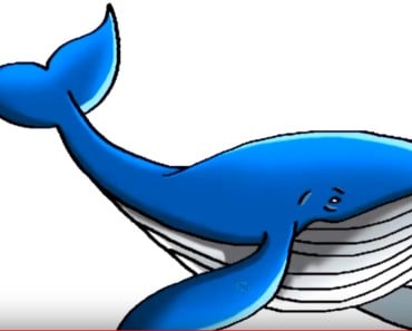 How to Draw a Blue Whale step by step easy