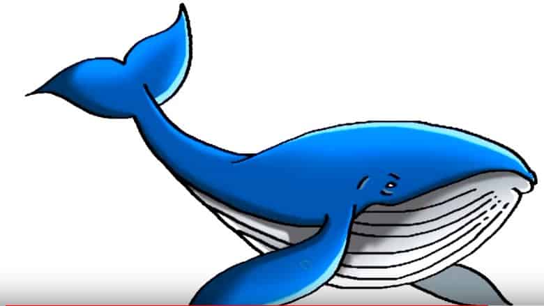 How To Draw A Blue Whale Step By Step Easy Easy Animals To Draw