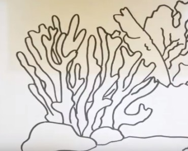 How to draw coral easy step by step – Easy drawing for kids