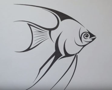 How to draw an angelfish step by step easy – Easy animals to draw