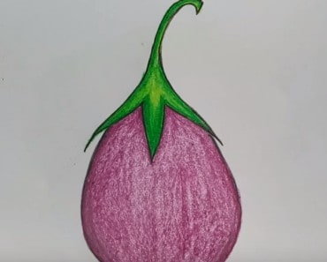 How to draw eggplant easy step by step