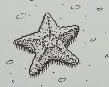 How to draw a starfish easy step by step – Easy drawings for kids
