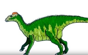 How to draw a Edmontosaurus Dinosaur easy step by step