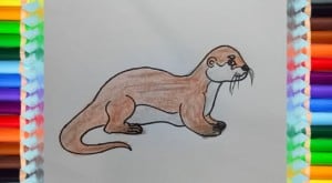 How to draw an Otter cute and easy
