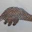 How to draw a pangolin step by step | Easy animals to draw easy