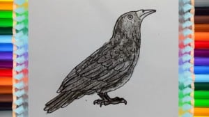 How to draw a Raven easy step by step