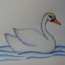 How to draw a Swan easy step by step | Easy animals to draw for kids